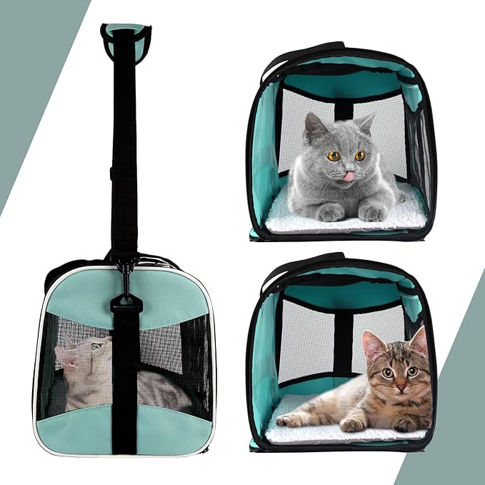 Cat Carrying Case Pet Dog Carrier Soft-Sided Cat Bag Airline Approved, Pet Travel Carrier Up to 15 Lbs, Collapsible Cat Carrier Dog Carrier for Medium Cats Small Cats Dogs(17x11x11 green)